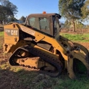 Arborist Services - Arborists