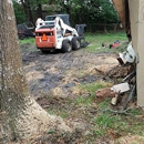 Extreme Tree and Landscape - Tree Service