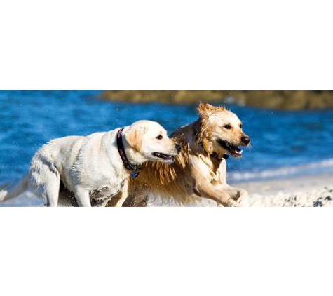 Stawell Veterinary Clinic - Stawell, VIC