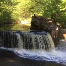 Cochran Mill Park - Parks