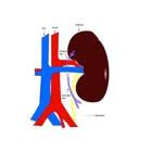 Bloomington Kidney & Hypertension Specialist PC