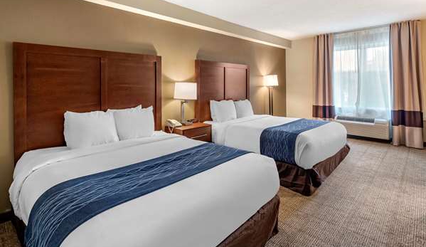 Comfort Inn & Suites Virginia Beach-Norfolk Airport - Virginia Beach, VA