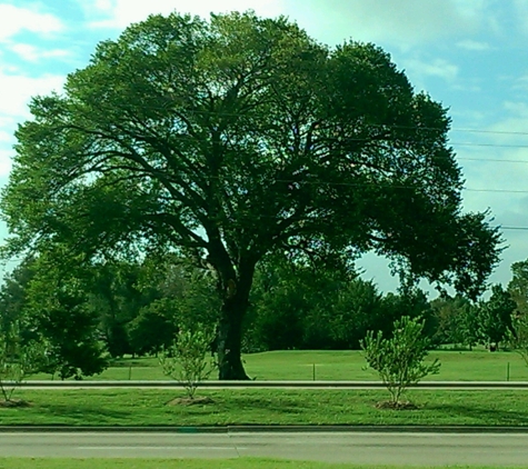 Oak Hollow Golf Course - Mckinney, TX