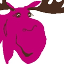 The Fuchsia Moose - Thrift Shops