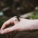Sandy's Pest Control - Pest Control Equipment & Supplies