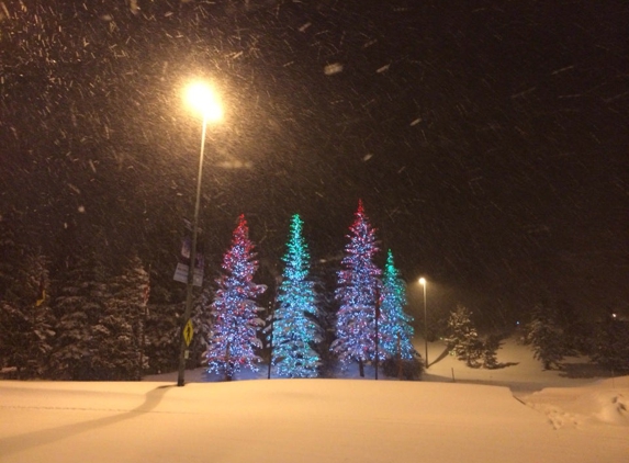 Evergreen Lodge - Vail, CO