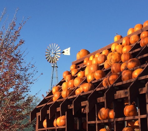 Konow's Corn Maze - Homer Glen, IL