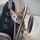 Petfolk Veterinary & Urgent Care - Veterinarian Emergency Services