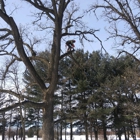 Worm's Tree Care, Inc.