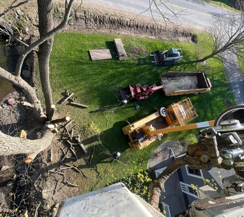 J & J Tree Services - Herkimer, NY