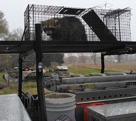 AJM Nuisance Animal Control - Milford, IN