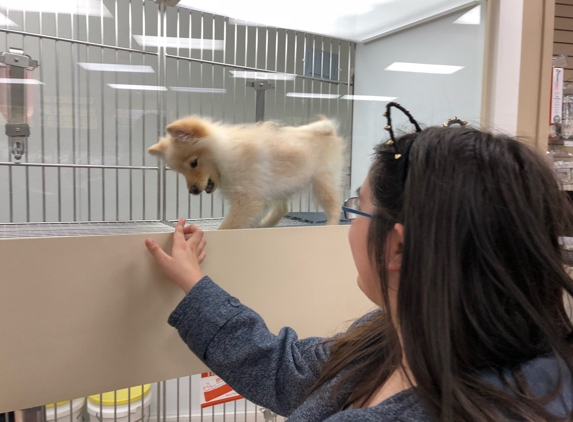 Petland - Independence, MO