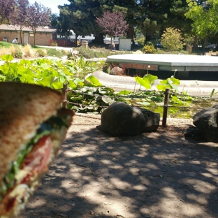 San Lorenzo Apartments - Santa Cruz, CA