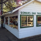 Gowan's Oak Tree