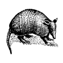 Armadillo Construction - Altering & Remodeling Contractors