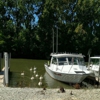 Wild Wings Campground & Marina gallery