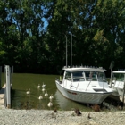 Wild Wings Campground & Marina