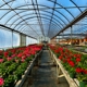 Cedar Swamp Farm & Greenhouses