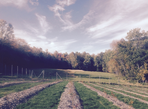 Sweet Seasons Farm & Artisan Confections - Saint Johnsbury, VT. Blueberry - Sweet Season Farm