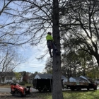 Ascend Tree Service