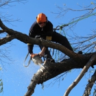 Heflin Tree Service