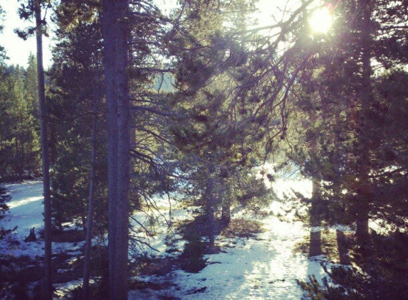 Truckee Donner Lodge - Truckee, CA