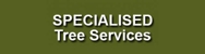 Specialised Tree Services - Tree & Stump Removal Services