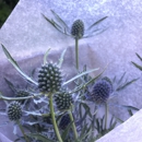 Country Flower Hutch - Florists