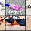 CLEAN San Diego Carpet Cleaning Services - Carpet & Rug Cleaners