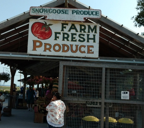 Snow Goose Produce Inc - Mount Vernon, WA