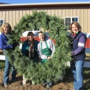 Country Christmas Trees - Christmas Trees