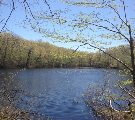 Nature Conservancy - Weston, CT