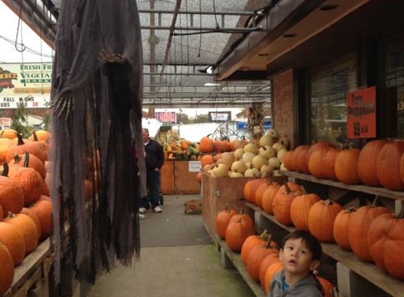 Somerset Farms Inc Fresh Fruit & Vegetable Market - North Plainfield, NJ