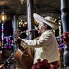 Mariachi Chapala en Tampa gallery