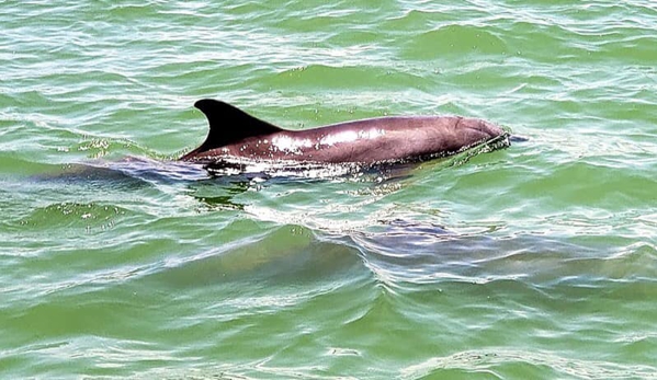 Sea Racer Tours - Fort Myers Beach, FL