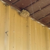 Fox Valley Mosquito and Tick Control gallery