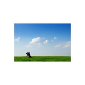 Gallery Image Number 1
