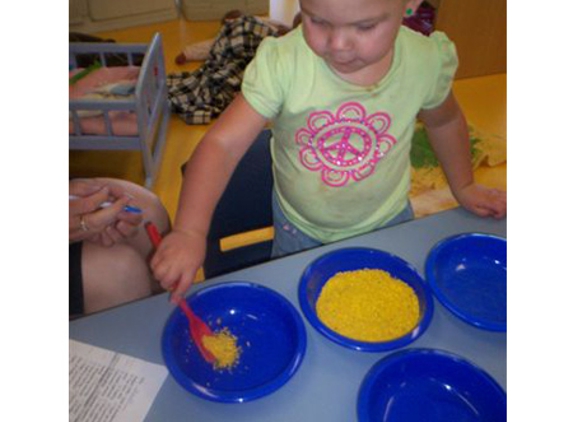 Little Kookas Kingsthorpe Childcare - Kingsthorpe, QLD