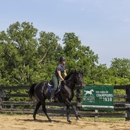 Secretariat Center - Community Organizations