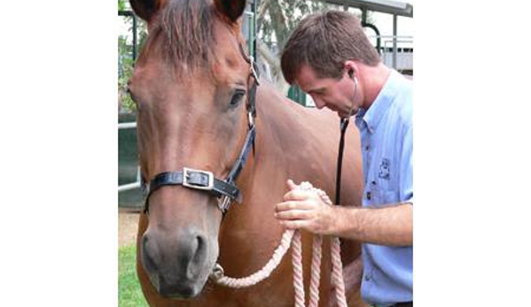 Townsville Veterinary Clinic - Aitkenvale, QLD