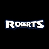 Roberts Auto Electronics & Window Tint gallery