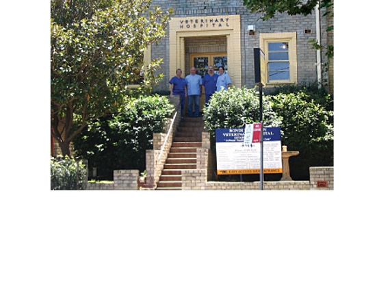 Bondi Junction Veterinary Hospital - Bondi Junction, NSW