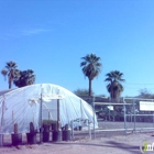 South Mountain Xeriscape