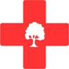 770 Arborist Emergency Tree & Crane Service gallery