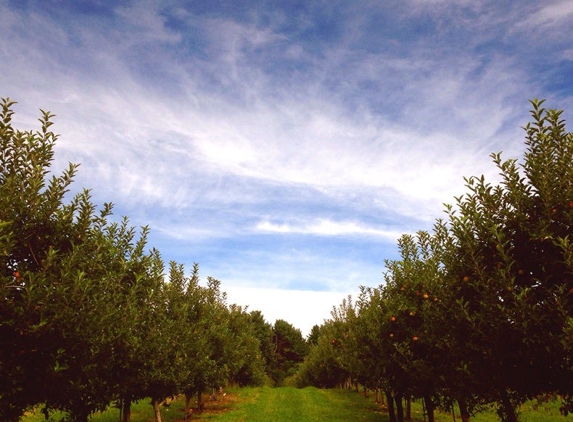 Drazen Orchards - Cheshire, CT