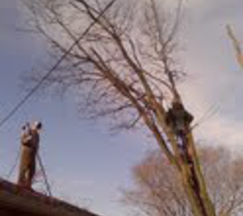 Overland Park Tree Care - Spring Hill, KS