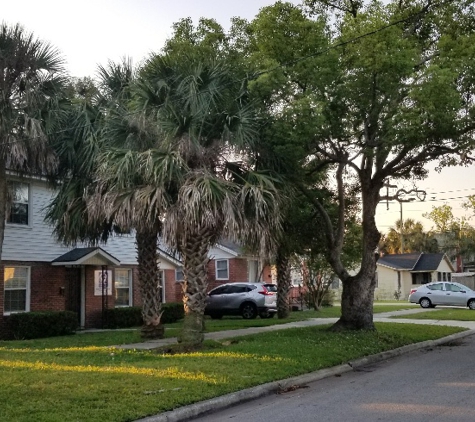 Greenwise Tree Surgeons - Jacksonville, FL. Front before