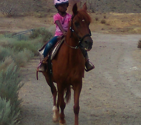 Ask The Horse Riding & Training - Tehachapi, CA