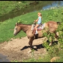 Knoblock Riding - Riding Apparel & Equipment