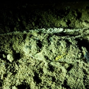 Gallery Image Number 8